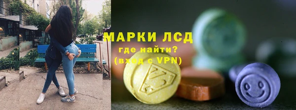 дживик Богородск
