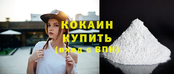 соль ск Богданович