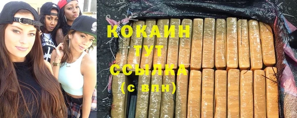 дживик Богородск