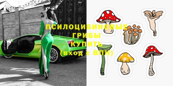 дживик Богородск