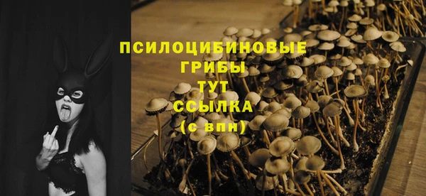 дживик Богородск