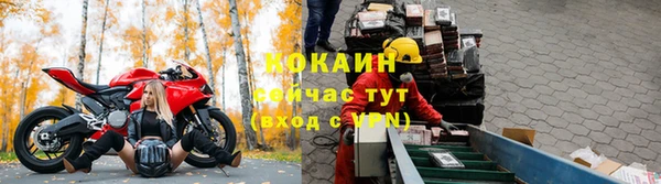 соль ск Богданович