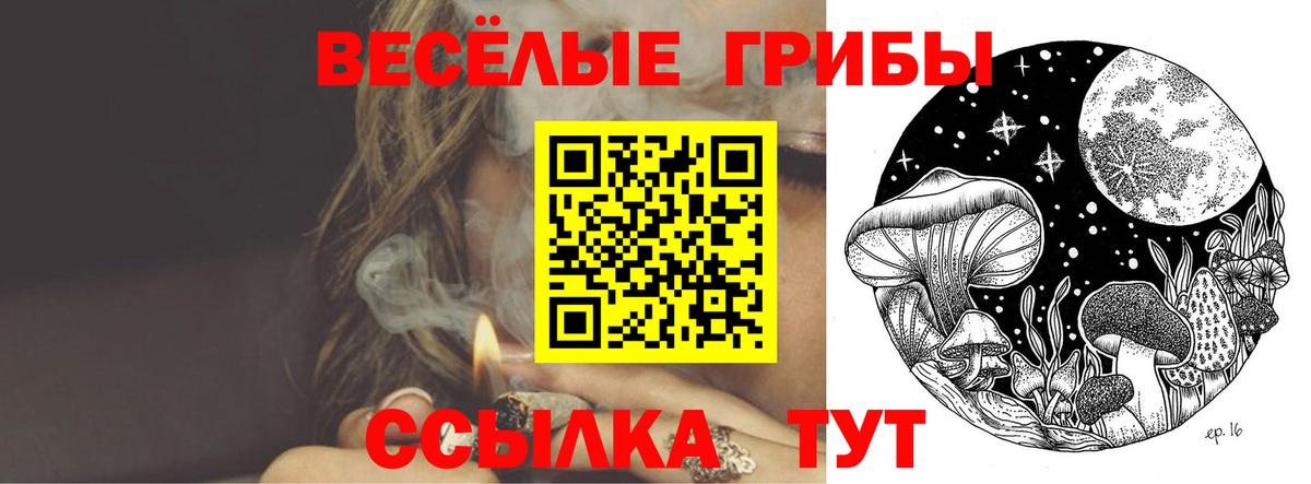 Галлюциногенные грибы MAGIC MUSHROOMS Малоярославец