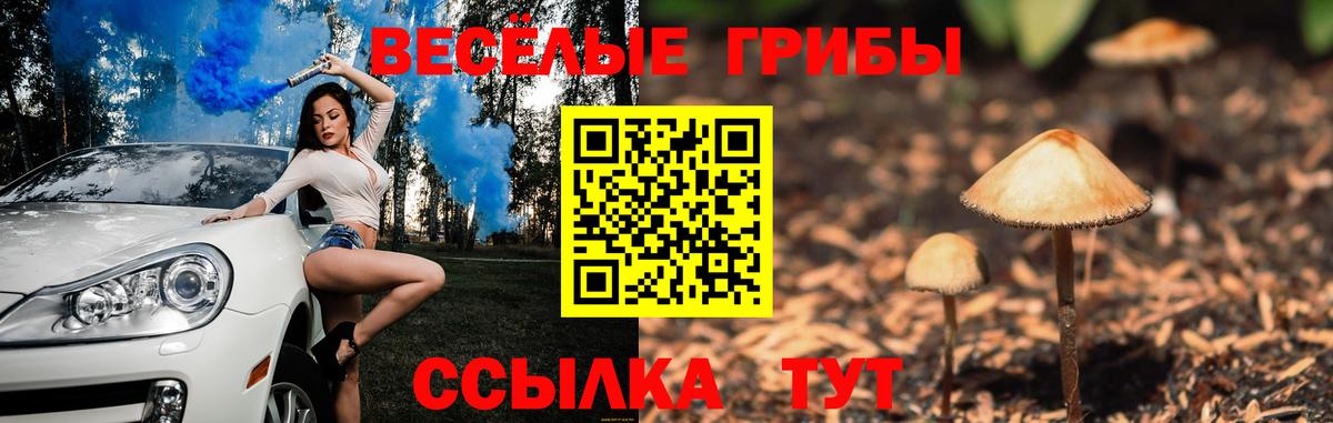 Галлюциногенные грибы Psilocybe  Псилоцибиновые грибы MAGIC MUSHROOMS  Малоярославец  Вход с VPN 